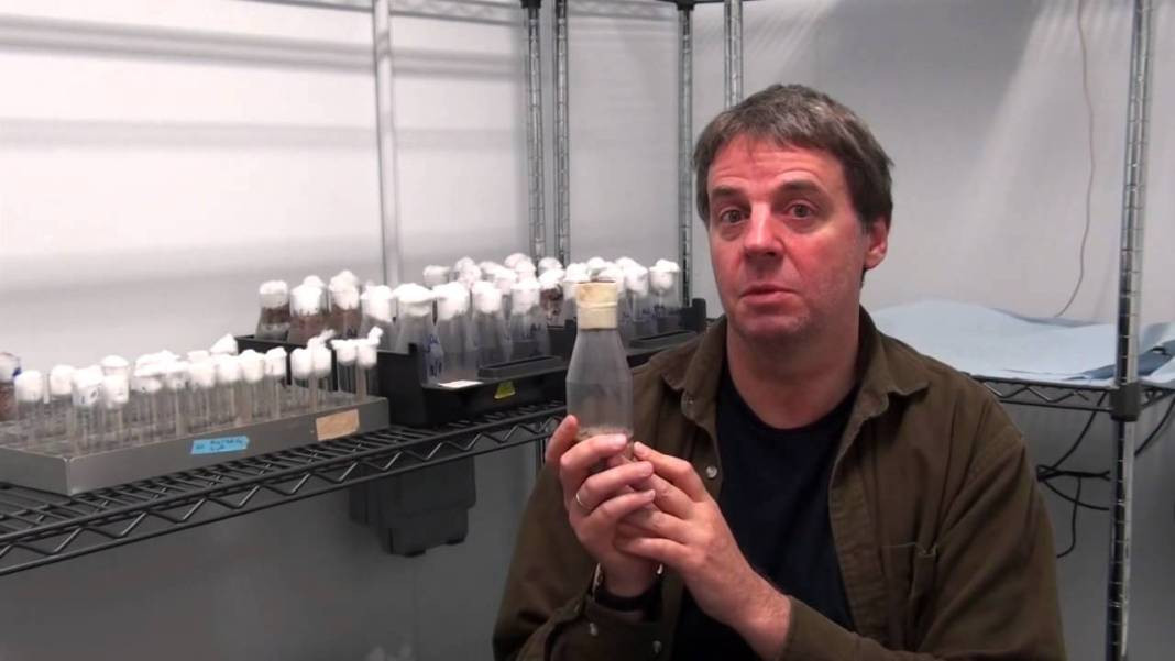 İnsan vücuduna dair şaşırtıcı gerçekler ve yaygın efsaneler - Resim: 32